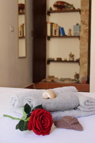 Minerva'S House Apartment Alghero Bagian luar foto